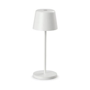 Mignon tl lampe sans fil (2)