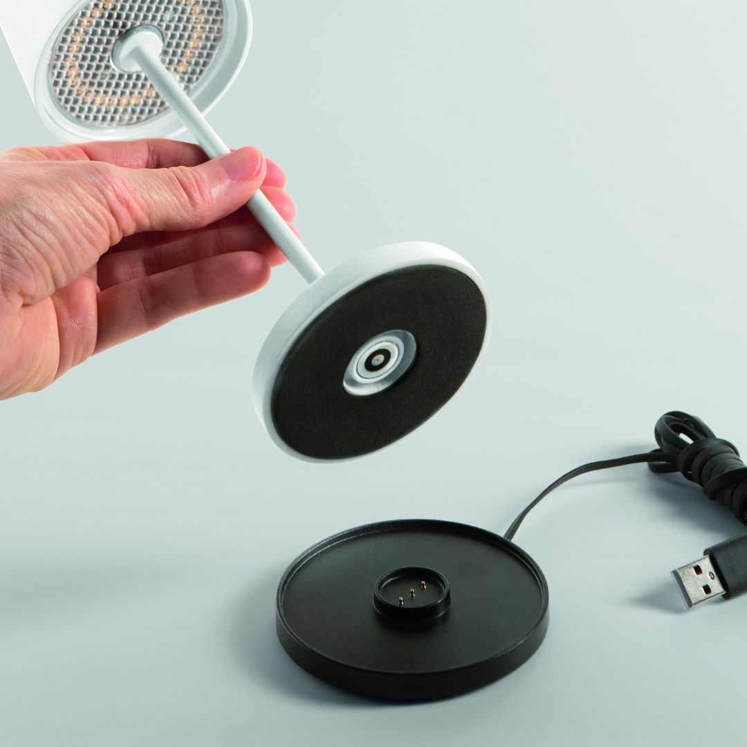 Mignon tl lampe sans fil (7)
